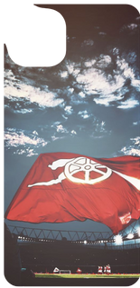 Waving the Cannon