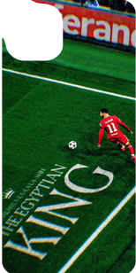 The Egyptian King