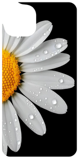 Daisy Drops