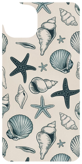 Seashell Sketches