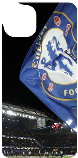 Fly the Flag