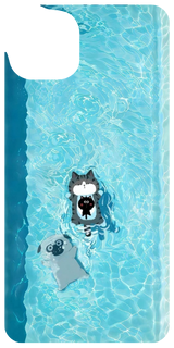 Pool Paws